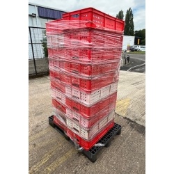 Pallet Showcasing Second Hand Vented Trays